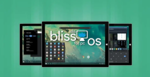 can you run linux app on bliss os​